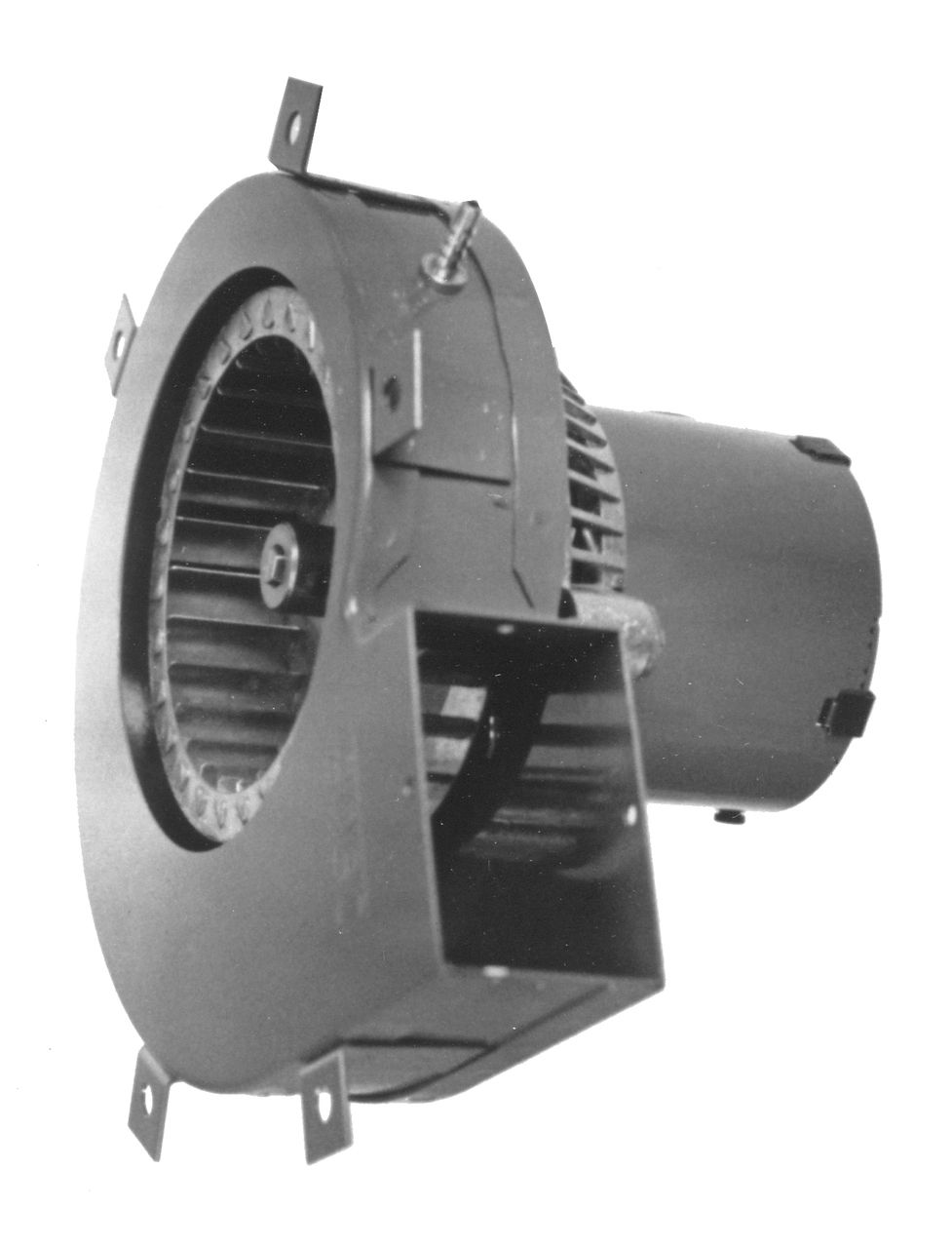 A079